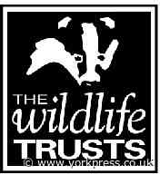 New online wildlife resources