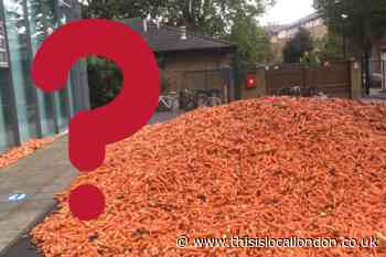 Why carrots been left at Goldsmiths University in London