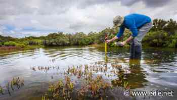 Survey: 8 in 10 Brits want nature jobs for those left unemployed by Covid-19