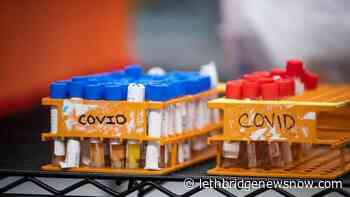 Health Canada green-lights rapid COVID-19 test - Lethbridge News Now