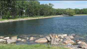 Online picnic shelter booking service to open Thursday - Lethbridge News Now