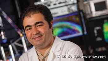 U of L professor working on new treatments for Alzheimer's disease - Lethbridge News Now