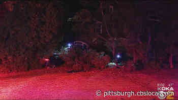 Car Nearly Slams Into Home In Squirrel Hill