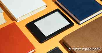 Publishers Worry as Ebooks Fly off Libraries' Virtual Shelves