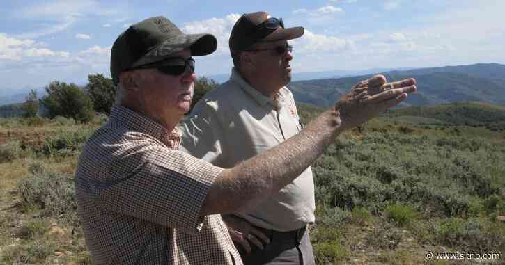LDS Church’s northern Utah ranch is proving to be a model for Western livestock grazing