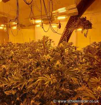 Arrest after cannabis farm found on Gunning Avenue, Eccleston - St Helens Star
