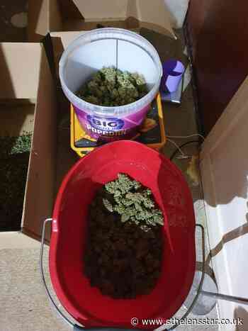 Police update after buckets of cannabis seized - St Helens Star