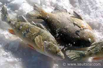 COVID puts ice-fishing derby on ice