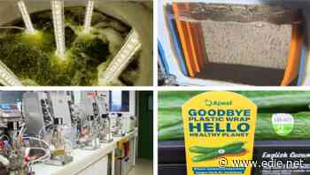 Plastic-eating 'super-enzymes' and water-based fuel: The best green innovations of September 2020