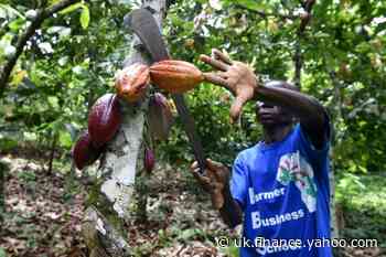 I.Coast hikes cacao minimum price by 21 percent