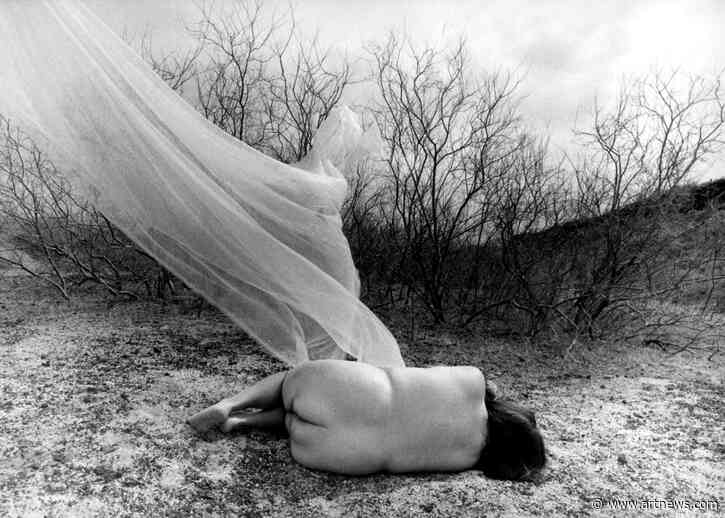 In First Joint Acquisition, LACMA, Vincent Price Museum Purchase 21 Works by Groundbreaking Photographer Laura Aguilar