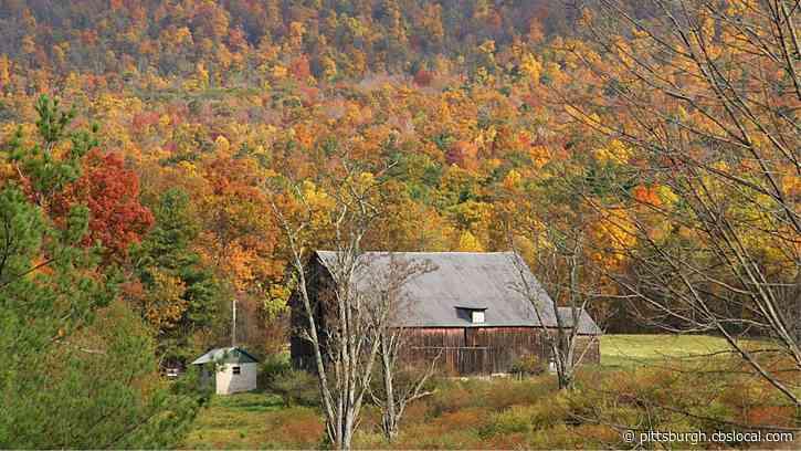 Pennsylvania Has The Longest, Most Varied Fall Foliage Season In The World, DCNR Says
