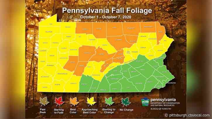 Fall Foliage Forecast: Leaves In Western Pa. Approaching Peak Colors