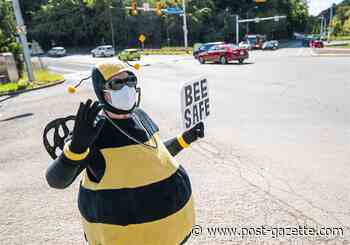 'Bee Lady' swarmed with help when she takes a tumble