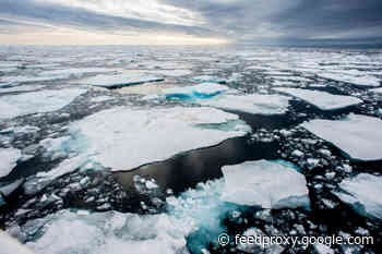 The Arctic Hasn’t Been This Warm for 3 Million Years — and That Foreshadows Big Changes for the Rest of the Planet