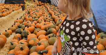 Your Saskatchewan photo of the day: October 2020