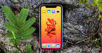 iPhone X vs. iPhone 11: Cameras, battery and all the specs compared     - CNET