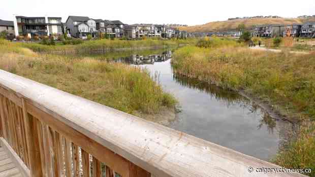Residents upset about beavers being trapped in southeast community wetland