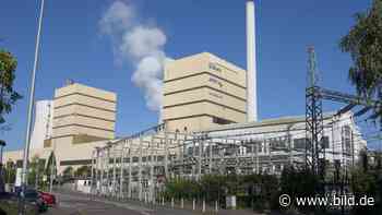 Schock für Wirtschaft - Bei STEAG fallen 400 Jobs weg - BILD