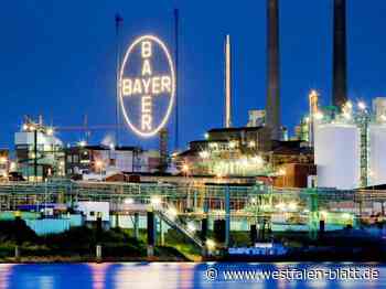 Bayer verschärft Sparprogramm - Westfalen-Blatt