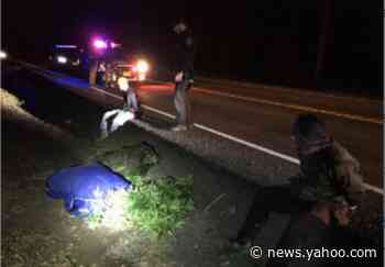 Thieves trying to take marijuana end up with bags full of hemp, Oregon cops say