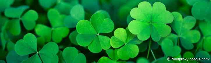 4 factoren om van jouw webshop een succes te maken