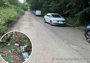 Call for new move to deter dogging in A19 layby at Skelton