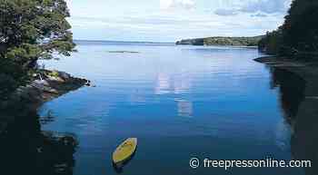 'Vigil for the Bay' in Belfast October 3 - Free Press Online - Freepress Online