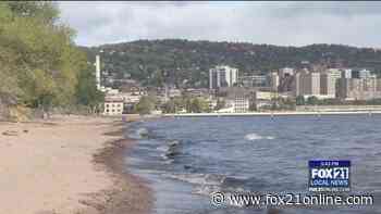 U of M Medical School Researchers Found Traces Of COVID-19 On Beaches - FOX 21 Online