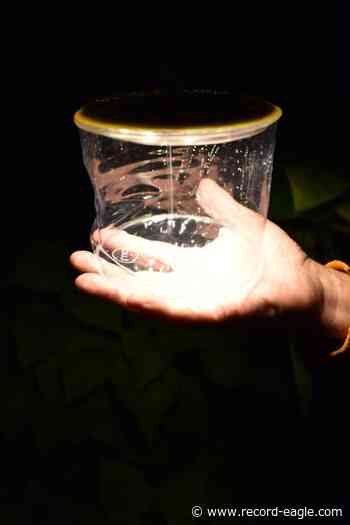 Gwizdz's Gadgets and Gear: Collapsible lamp | GO | record-eagle.com - Traverse City Record Eagle