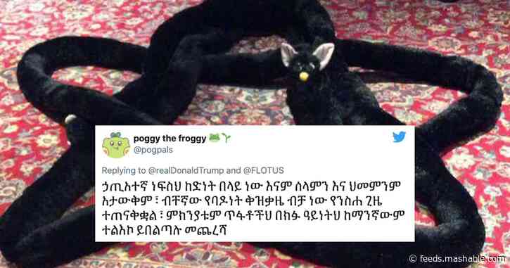 Twitter spams Trump's COVID tweet with copypasta in Amharic