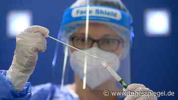 Coronavirus in Deutschland: Corona-Zahlen in München steigen trotz Wiesn-Absage weiter - Tagesspiegel