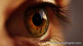 Ketamine found to rapidly trigger recovery from common eye disorder
