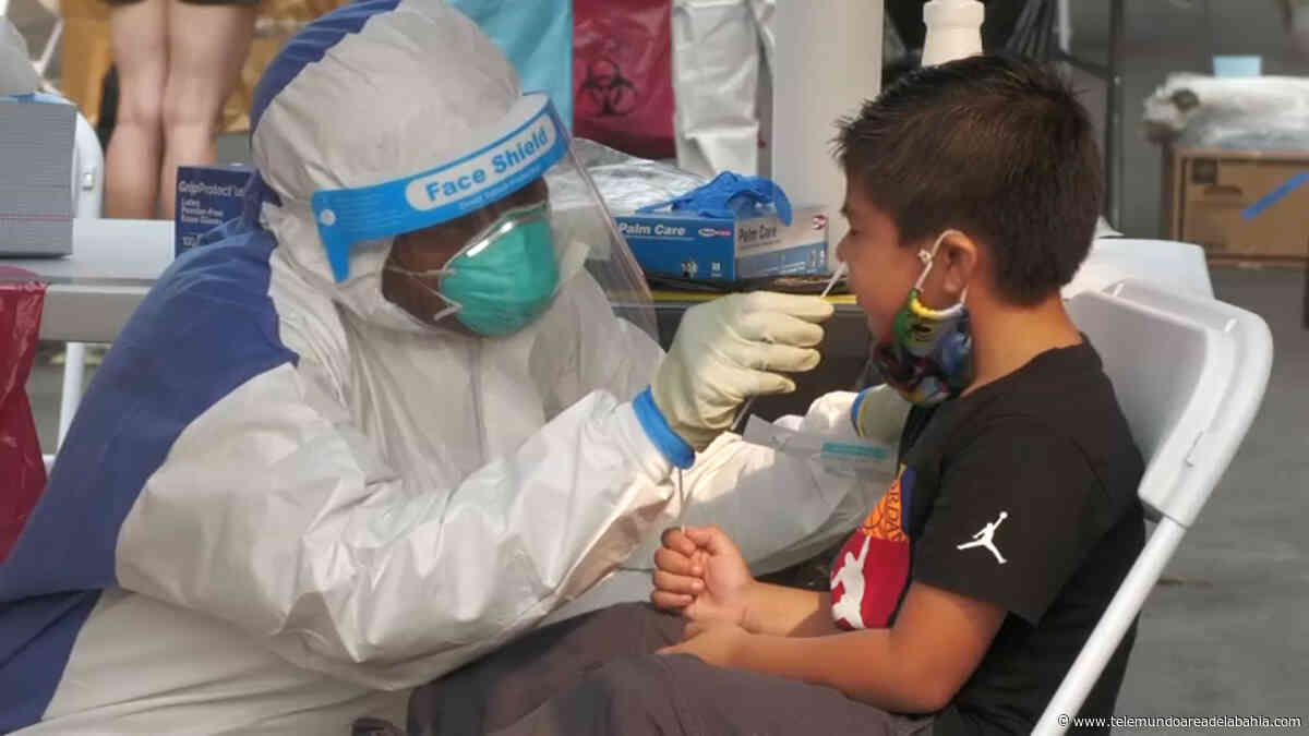 San Francisco ofrece pruebas de coronavirus gratis para niños hispanos - Telemundo Area de la Bahia
