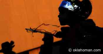 OKC's Paseo Arts District reimagines Magic Lantern Halloween event due to coronavirus pandemic - Oklahoman.com