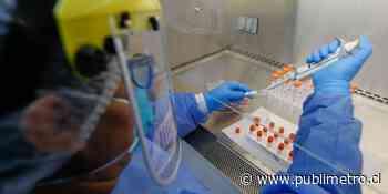 Minsal reportó 1.923 casos nuevos de coronavirus y lamentó 50 nuevos fallecidos - Publimetro Chile