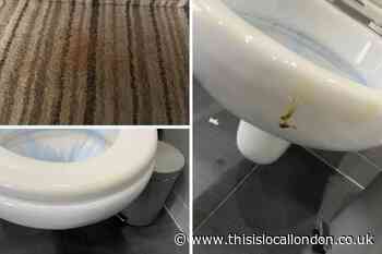 Tesco delivery driver defecates all over bathroom in Eltham