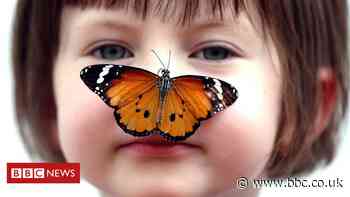 Biodiversity: Why the nature crisis matters, in five graphics