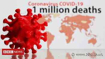 Covid-19: Milestones of the global pandemic
