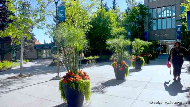 Mount Royal University to continue most classes online for winter semester