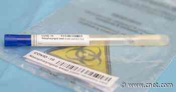 COVID: When to get tested for the coronavirus and how long it will take to get results     - CNET