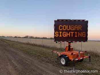 Sutherland dog park reopened after investigation into possible cougar sighting