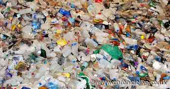 A 'number of employees' at recycling plant have tested positive for Covid-19