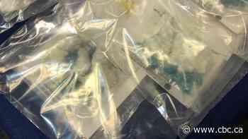 Police discover 'how-to' manual for drug trafficking operation during Winnipeg raid