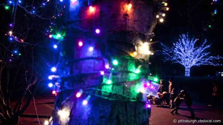 Pittsburgh Zoo To Light Up For All-New Holiday Drive-Thru