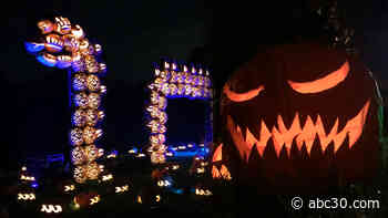 The Great Jack O'Lantern Blaze arrives on Long Island with more than 7,000 pumpkins