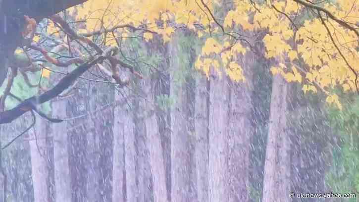 Autumn Snow Falls in Michigan Ski Resort Town