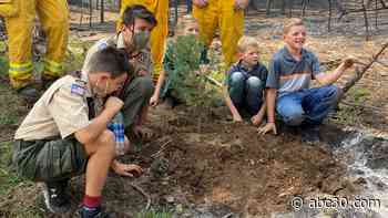 Creek Fire: Family starts fund to help rebuild Shaver Lake community