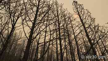 Creek Fire: 312,063 acres burned with 45% containment, latest evacuations orders