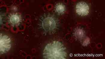Nitric Oxide a Possible Treatment for COVID-19 – Only Substance to Have a Direct Effect on SARS-CoV-2